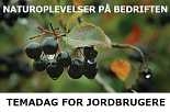 Natur på Bedriften